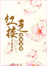 《（红楼同人）红楼之荣华春景》 作者：君越贤 txt文件大小：974.53 KB