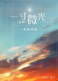 《（全职同人）（全职）一寸微光》 作者：朱阙清秋 txt文件大小：201.72 KB