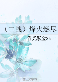 《（二战）烽火燃尽》 作者：浮光跃金86 txt文件大小：147.59 KB