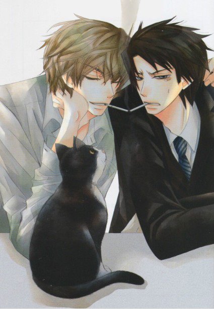 《包子是媒人》 作者：黄花菜的菜 txt文件大小：156.88 KB