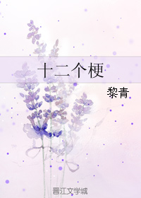 《十二个梗》 作者：黎青 txt文件大小：94.15 KB