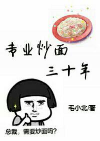 《专业炒面三十年》 作者：毛小北 txt文件大小：382.87 KB