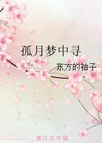 《寻月-孤月梦中寻》 作者：东方的袖子 txt文件大小：509.38 KB