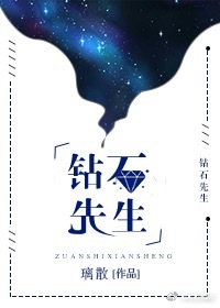 《钻石先生》 作者：璃散 txt文件大小：331.04 KB
