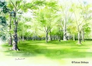 《时光深处温暖我》 作者：何谓我 txt文件大小：25.95 KB