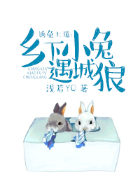 《诱兔上道：乡下小兔遇城狼》 作者：浅依YQ txt文件大小：349.53 KB