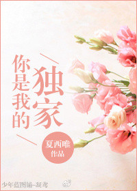 《你是我的独家》 作者：夏西唯 txt文件大小：542.23 KB