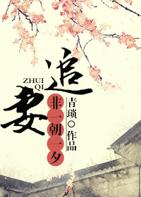 《追妻，非一朝一夕》 作者：青琐 txt文件大小：414.9 KB