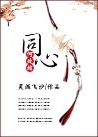 《何处结同心》 作者：灵浅飞沙 txt文件大小：451.82 KB