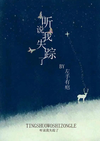 《听说我失踪了》 作者：左手有疤 txt文件大小：317.07 KB