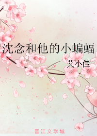 《沈念和他的小蝙蝠》 作者：艾小佳 txt文件大小：77.26 KB