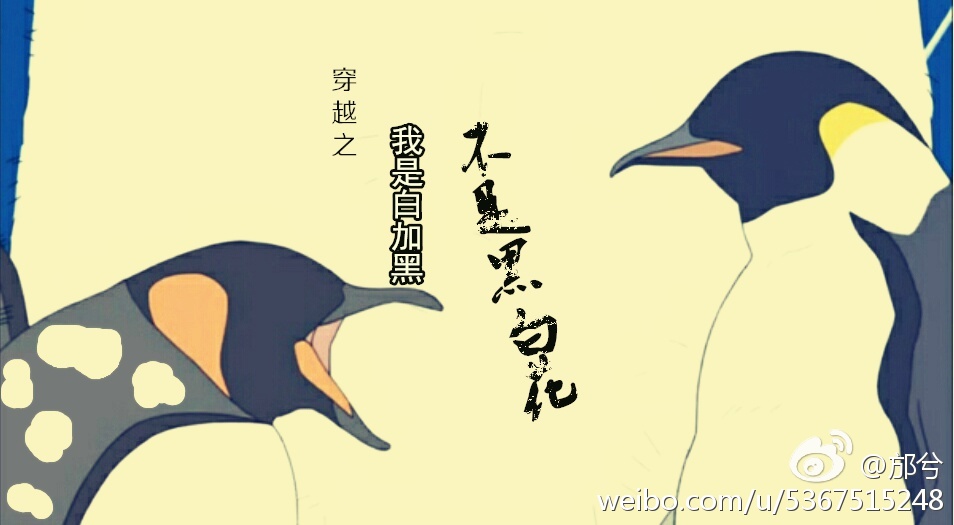 《穿越之我是白加黑不是黑白花》 作者：邡兮 txt文件大小：209.03 KB