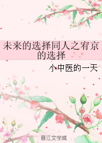《（未来的选择同人）未来的选择同人之宥京的选择》 作者：小中医的一天 txt文件大小：134.62 KB