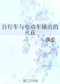 《自行车与电动车撞出的火花》 作者：误涩 txt文件大小：135.23 KB