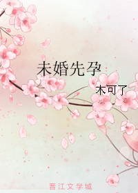 《未婚先孕》 作者：木可了 txt文件大小：387.08 KB
