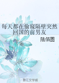 《每天都在偷窥隔壁突然回国的前男友》 作者：陆佰圆 txt文件大小：183.89 KB