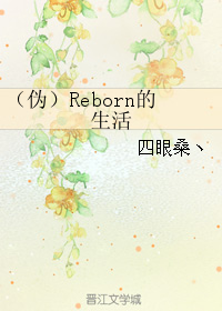 《（综漫同人）（伪）Reborn的生活》 作者：四眼桑丶 txt文件大小：107.47 KB