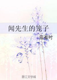 《闻先生的笼子》 作者：应有时 txt文件大小：134.71 KB