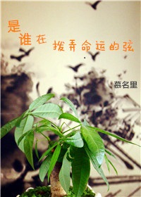 《是谁在拨弄命运的弦》 作者：慕名里 txt文件大小：321.99 KB