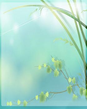 《我愿等你》 作者：颜千羽 txt文件大小：220.36 KB