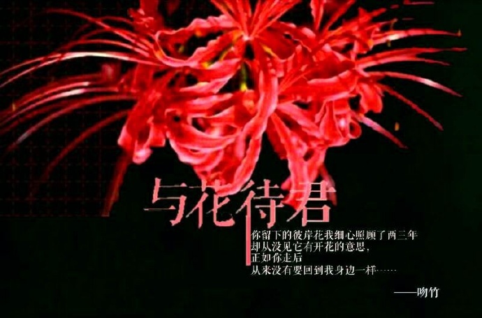 《与花待君》 作者：吻竹 txt文件大小：167.93 KB