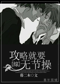 《（综同人）攻略就要无节操》 作者：暮二木 txt文件大小：368 KB