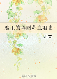 《魔王的玛丽苏血泪史》 作者：明草 txt文件大小：153.72 KB