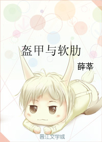 《盔甲与软肋》 作者：薛莘 txt文件大小：133.76 KB