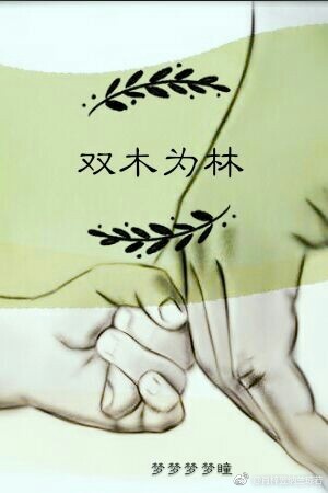 《双木为林》 作者：梦梦梦梦瞳 txt文件大小：431.46 KB