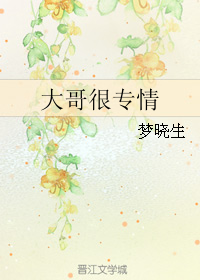 《大哥很专情》 作者：梦晓生 txt文件大小：140.28 KB