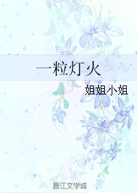 《一粒灯火》 作者：姐姐小姐 txt文件大小：196.63 KB