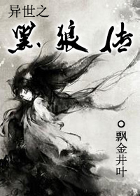 《异世之黑狼传》 作者：飘金井叶 txt文件大小：439.13 KB