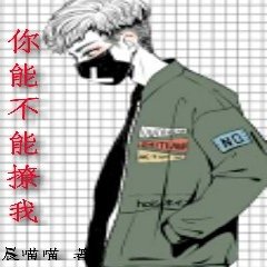 《你能不能撩我》 作者：晨喵喵 txt文件大小：260.72 KB