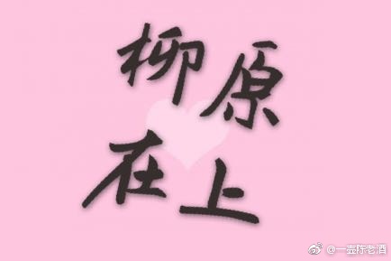 《柳原在上[gl]》 作者：陈闪闪 txt文件大小：393.91 KB