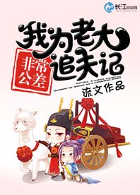 《非常公差：我为老大追夫记》 作者：流文 txt文件大小：511.12 KB