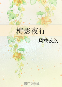 《梅影夜行》 作者：风载云旗 txt文件大小：250.74 KB