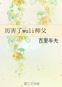 《厉害了wuli师父》 作者：百里车夫 txt文件大小：426.29 KB