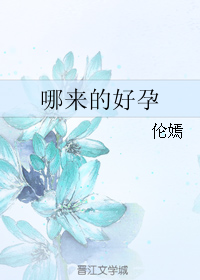 《哪来的好孕》 作者：伦嫣 txt文件大小：173.04 KB