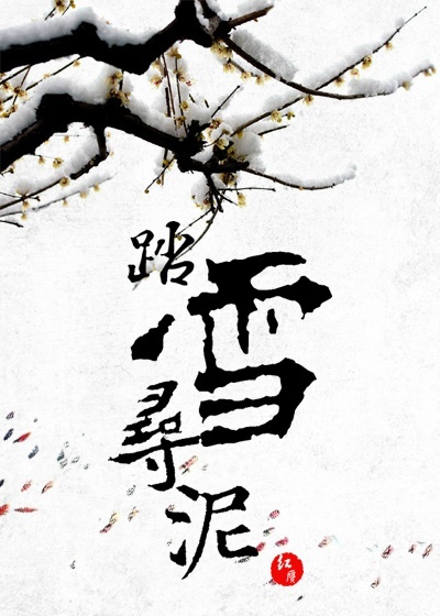 《踏雪寻泥》 作者：红赝 txt文件大小：203.6 KB