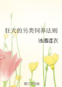 《狂犬的另类饲养法则》 作者：浊酒湿衣 txt文件大小：106.7 KB