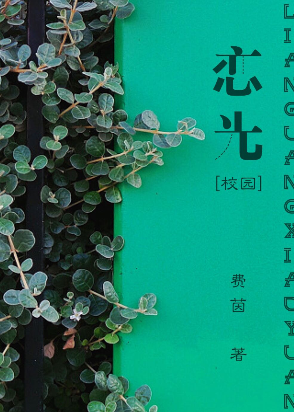 《恋光（校园）》 作者：费茵 txt文件大小：287.07 KB