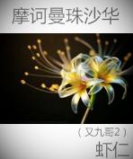 《摩诃曼珠沙华》 作者：虾仁纱网 txt文件大小：160.24 KB