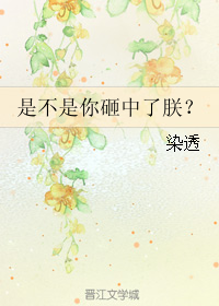 《是不是你砸中了朕？》 作者：染透 txt文件大小：22.68 KB