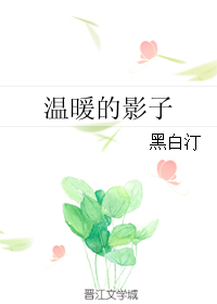 《温暖的影子》 作者：黑白汀 txt文件大小：245.45 KB