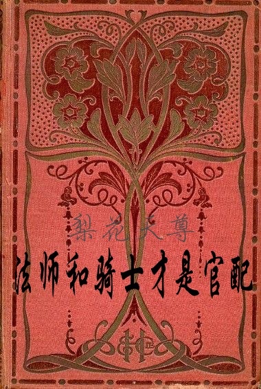 《法师和骑士才是官配》 作者：梨花天尊 txt文件大小：146.64 KB