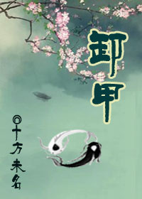 《卸甲》 作者：十方未名 txt文件大小：136.51 KB