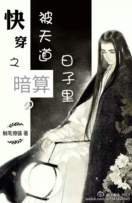《快穿之被天道暗算的日子里》 作者：触笔撩骚 txt文件大小：122.31 KB
