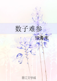 《数子难参》 作者：YR青末 txt文件大小：183.23 KB