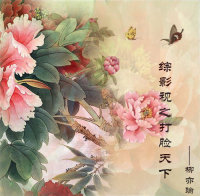 《（综影视同人）综影视之打脸天下》 作者：柳亦瑜 txt文件大小：244.74 KB