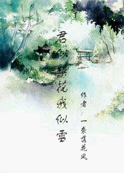《君似梨花我似雪》 作者：一袭落花风 txt文件大小：367.19 KB